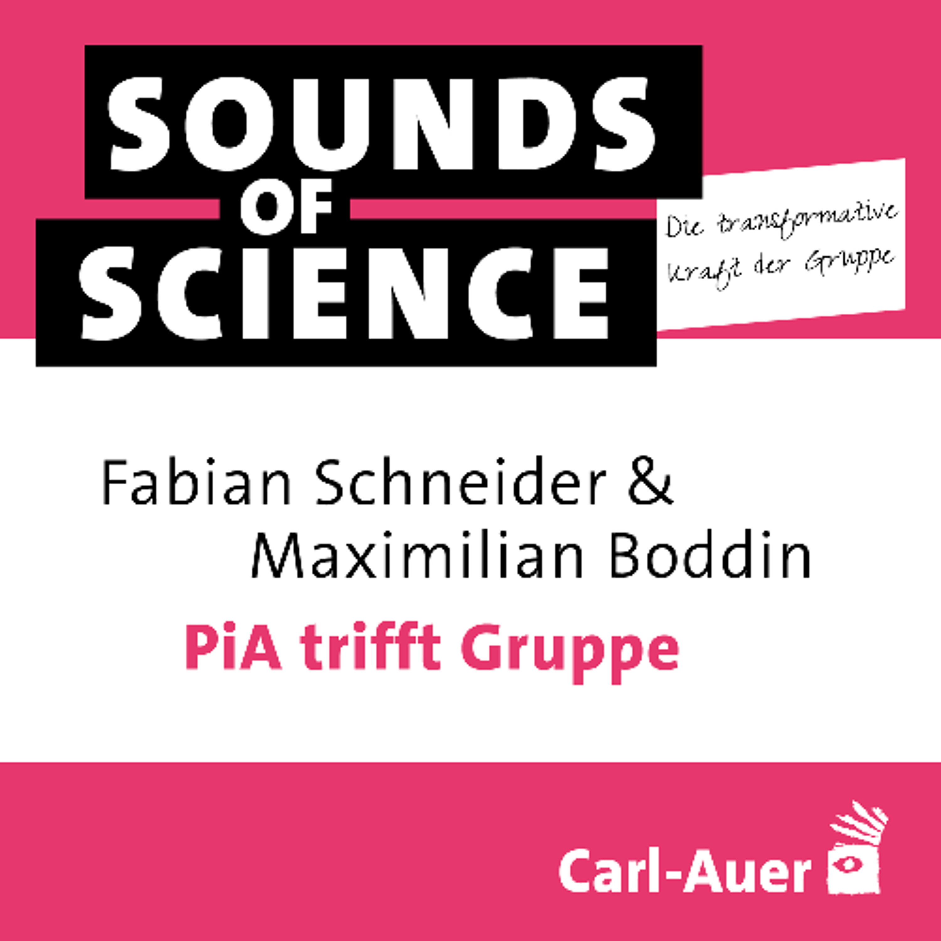 #4 Die transformative Kraft der Gruppe | Schneider & Boddin – PiA trifft Gruppe