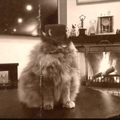 Into The Earth (Vocal Cover)