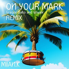 On Your Mark REMIX - Milan.K    (Gregor Salto & Wiwek)