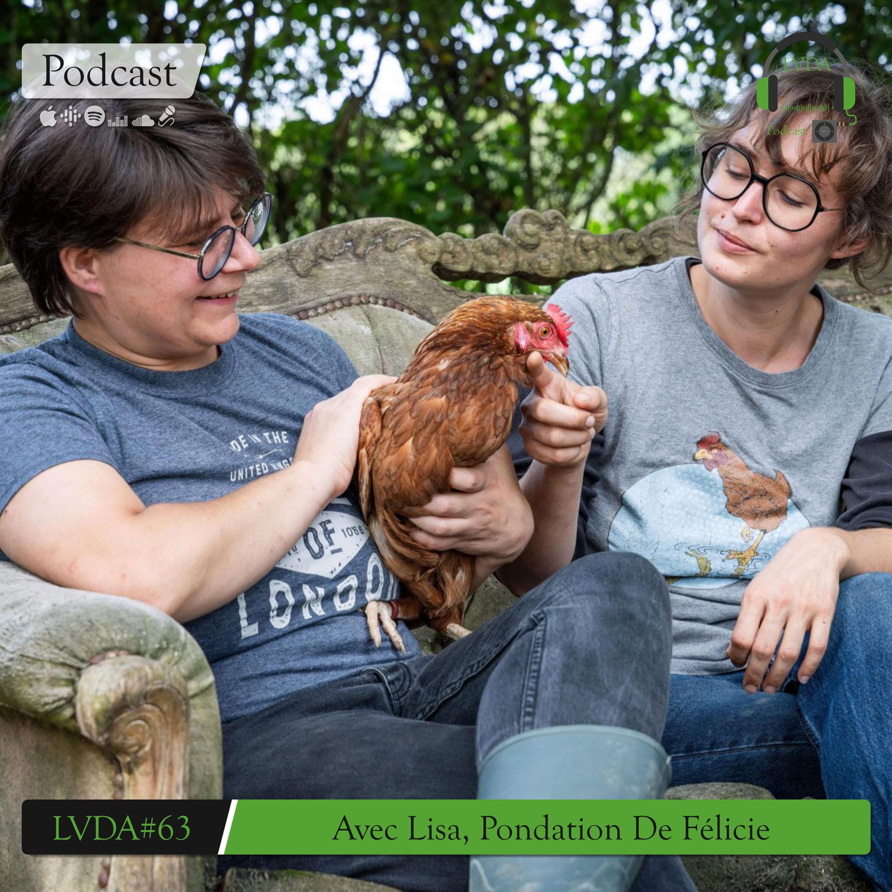 LVDA#63 Les Poules, Des Êtres Méconnus Et Pourtant Fascinants (Avec Lisa, Pondation De Félicie)