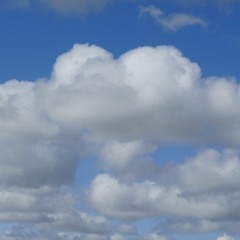 SOARING