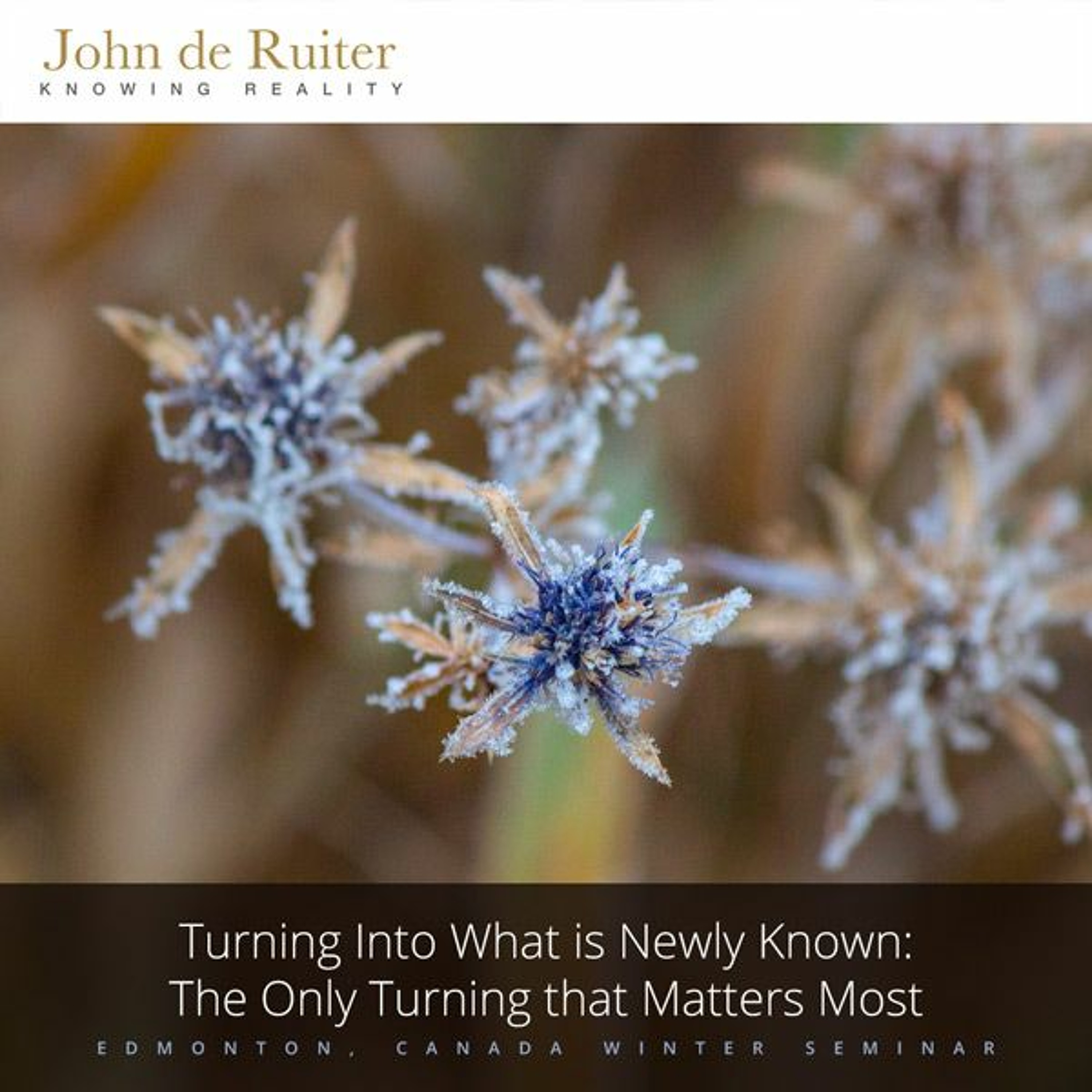 372 - Turning Into What is Newly Known: The Only Turning that Matters Most - 1 of 1 episode artwork