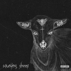 Counting Sheep (ft. IDIO)