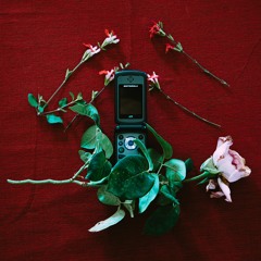 I've Been Missing Your Name On My Phone (feat. Blondumb) (prod. recycleBin)