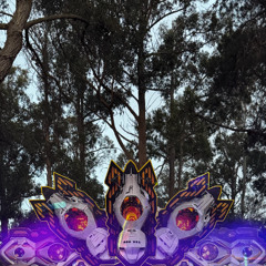 PHOENIX RISING '24/25