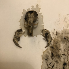 Daily Drop #5124 - Glowing Bones