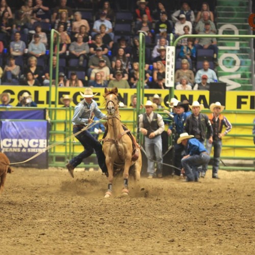 Stream College National Finals Rodeo live stream CNFR 2023 by