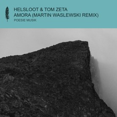 Helsloot & Tom Zeta - Amora (Martin Waslewski Remix) (snippet)