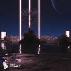 CALME - Swallow