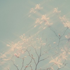 Toshiki Soejima, Temsu Clover - Shine