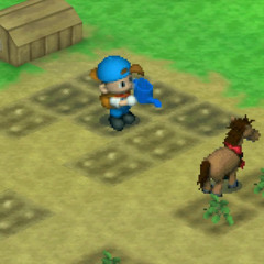 Harvest Moon