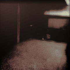 Did I Have A Fissure Before?  (naviarhaiku634)