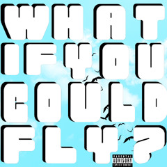 CJ Owl - What If You Could Fly (Intro)