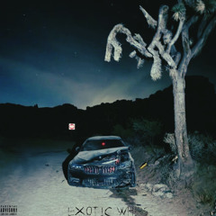 (exotic whips) prod by. 1macekert