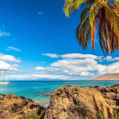 Best Things To Do In Kihei Maui Hawaii Tours Reviews