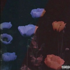 Looking At The Sky 4 (Prod. Eem Triplin)