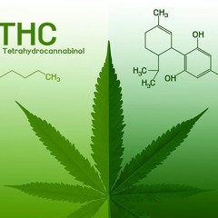 Canna Bitz CBD Gummies Canada Cost