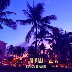 Miami Dream