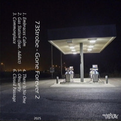 73STROBE - COMMONPLACE