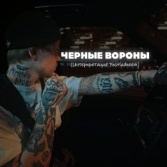 Черные вороны (Интерпретация)