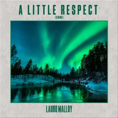 Erasure - A Little Respect (Lauro Malloy Extended Club Mix)