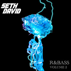 Seth David Presents: R&Bass Vol. 2