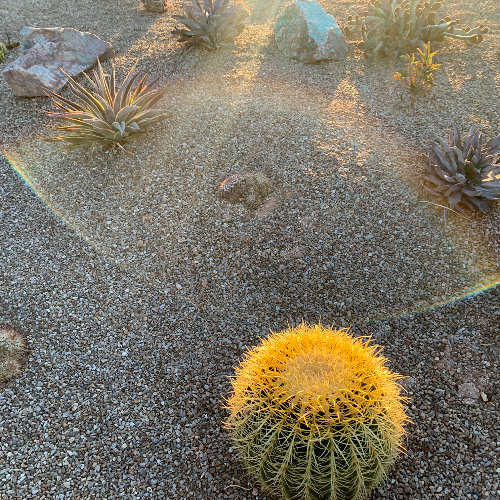 Desert Miniatures - 2. Slither