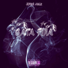 Gata Fina-Joven Arle ft. mesientoenmilan (mster. Deas YG)