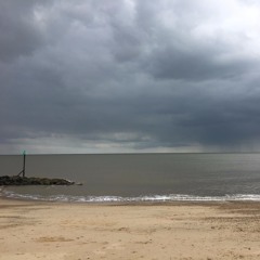 Racetrack - Beach Bunny (cover)