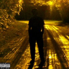 RI$E (feat. 0vadose)