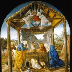 December 16: The Plan of Life. Mary, Solace of Migrants, pray for us.