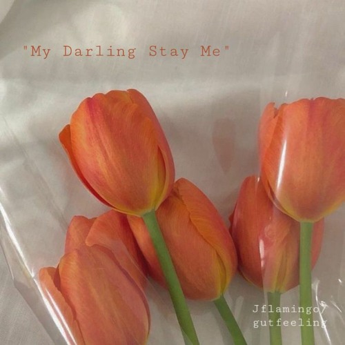 darling dear darling (ft.GUT FEELING)