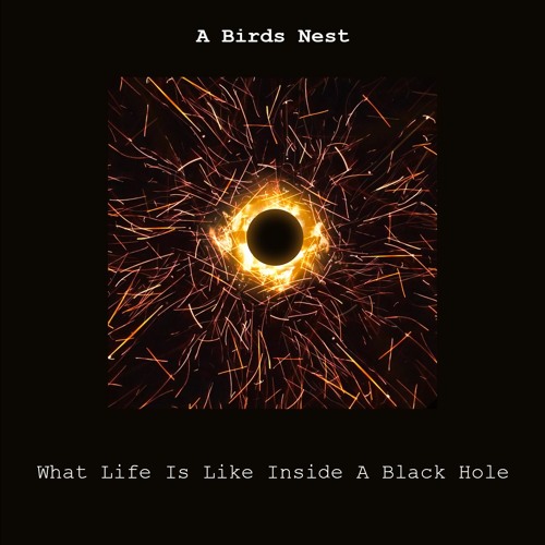 What's Life is Like inside a Black Hole