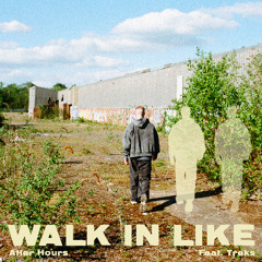 Walk In Like feat.Treks