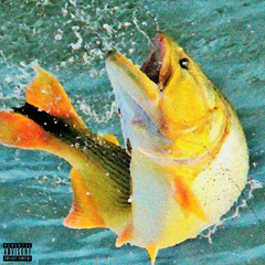 PEIXE PERDIDO VIRA ISCA prod by @sopsybands
