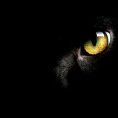 RCR - Le ja kahi door khuda (Mtv Hustle) M!X