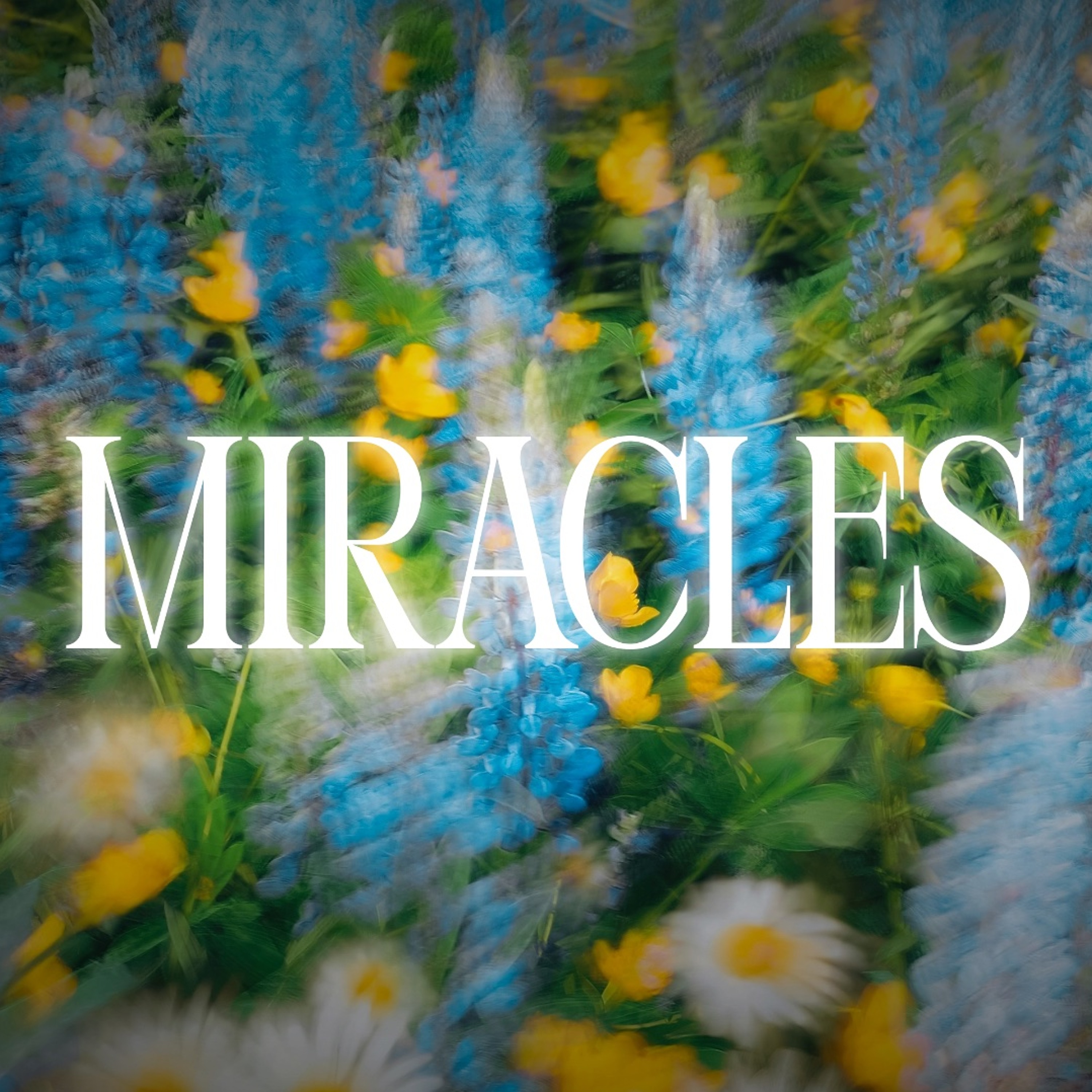 Miracles of Jesus | Healing the Official's Son | John 4:46-54 | Jon Potter