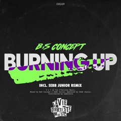 | PROMO | B&S Concept - Burning Up (Stripped Down Mix)