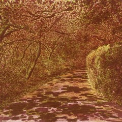 Folk fall // November 21, 2025