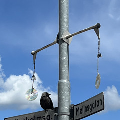 häng me på spaning