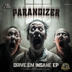 Paranoizer - Drive Em Insane