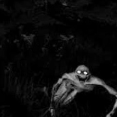 LA CHICHA ME PERSIGUE