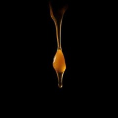 Sin Tastes Like Honey
