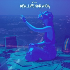 Real Life Simulator
