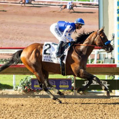 My Race Call Of The 2025 San Diego Handicap At Del Mar Racetrack