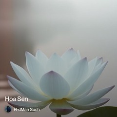 hoa-sen-trang.mp3