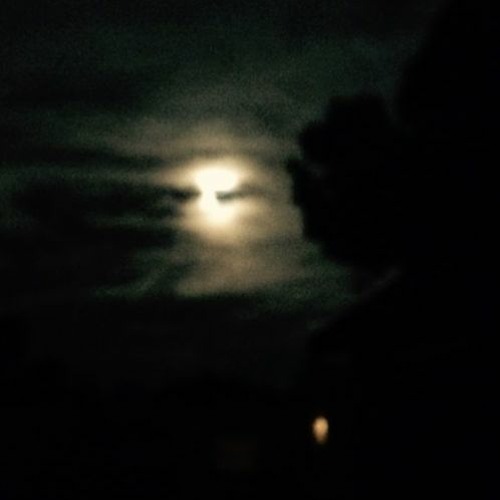 Slice Of P.I.E. 3 (Space)