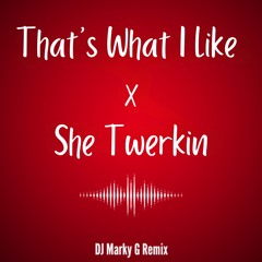 That's What I Like X She Twerkin
