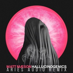 Matt Maeson - Hallucinogenics - tASZ Re-Work