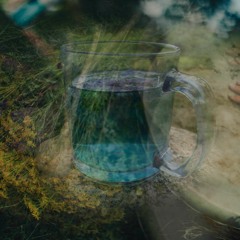Puhastusmeditatsioon,lõiguke
